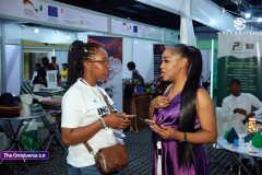 RockyEmmyStudio-29212Feb-25-2025